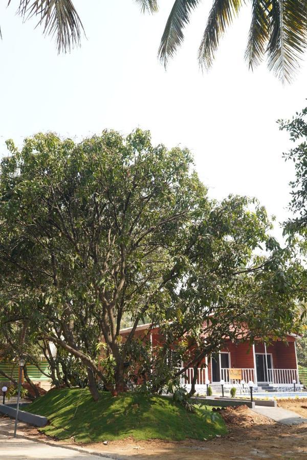 The Mango Leaf Homestay 阿里巴格 外观 照片
